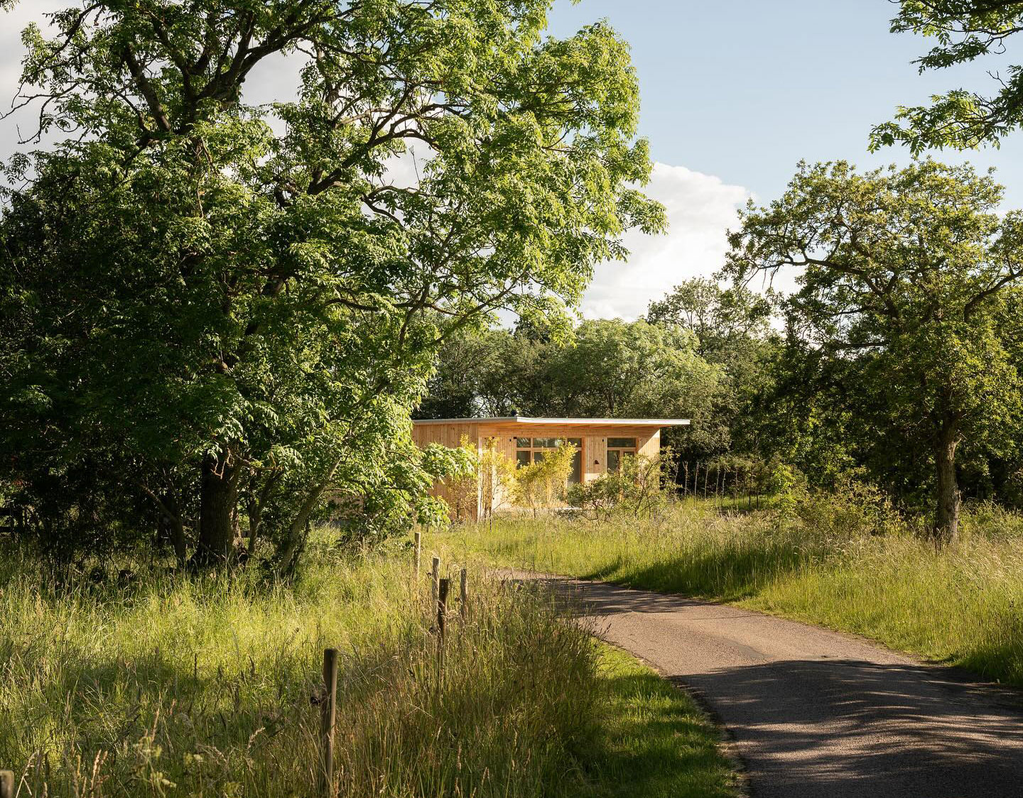 Fönster och fönsterdörrar i furu lasyr matt natur på Villa Varan