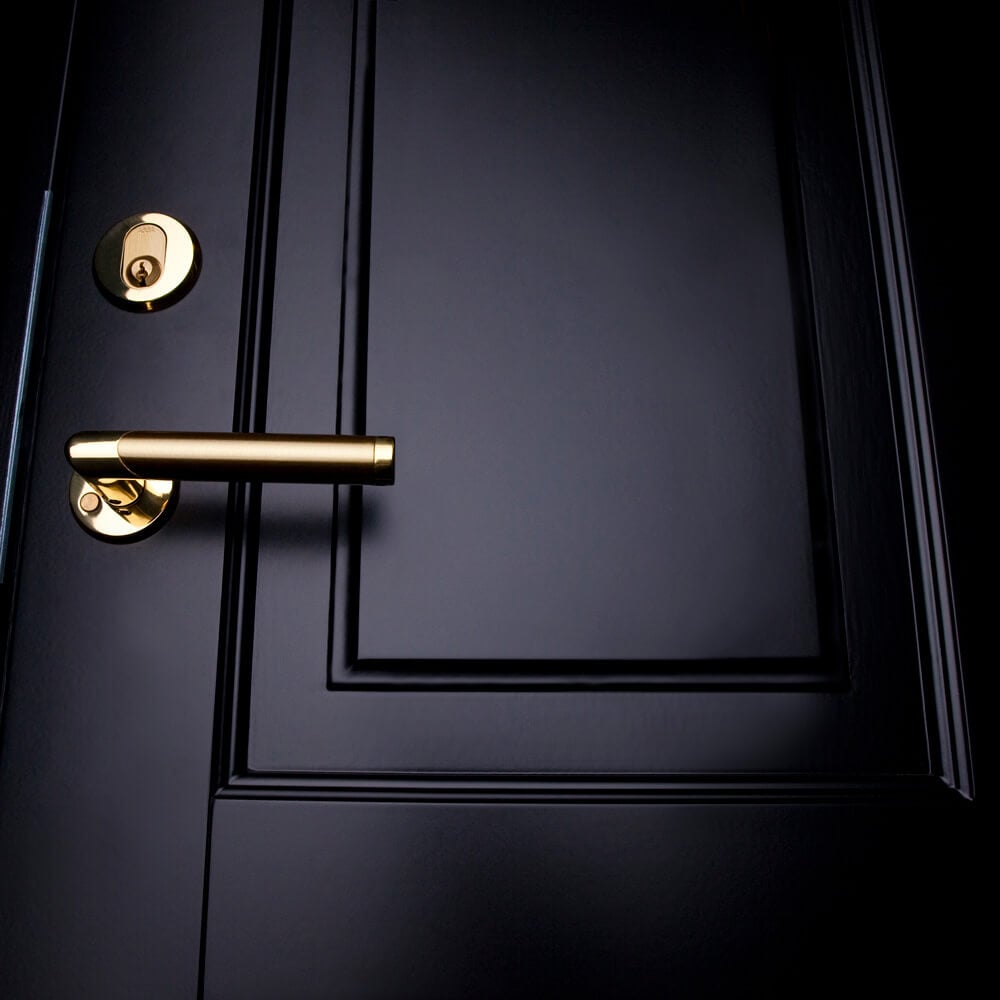 Exterior door Ascot black detail 5