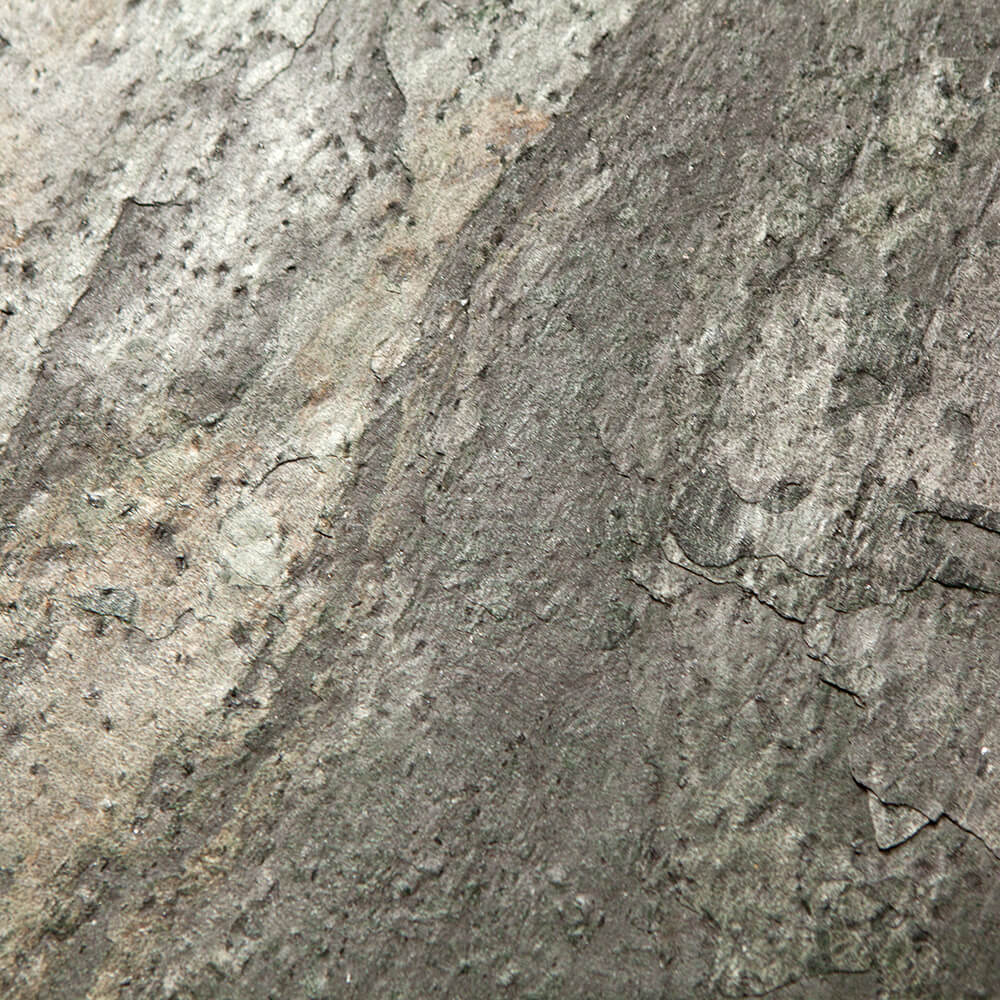 Berg 160 Argent Zera detail