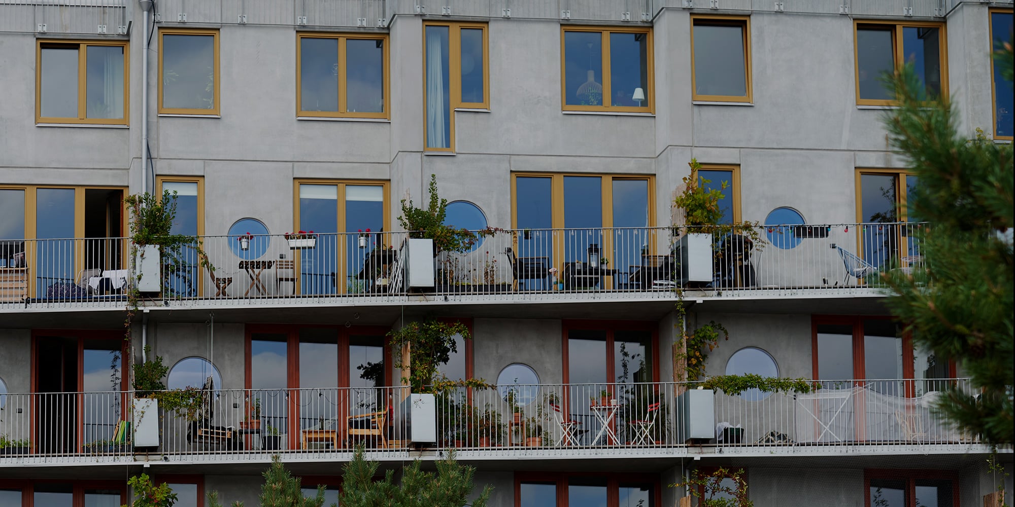 Fönster och fönsterdörrar i laserad ek på cykelhotell Ohboy