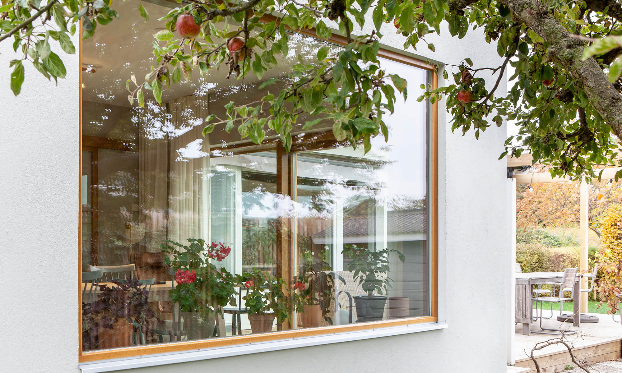 Fixed wooden window in oak stain