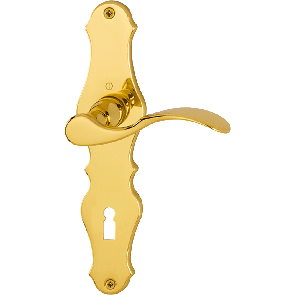 Door handle Hoppe Weimar