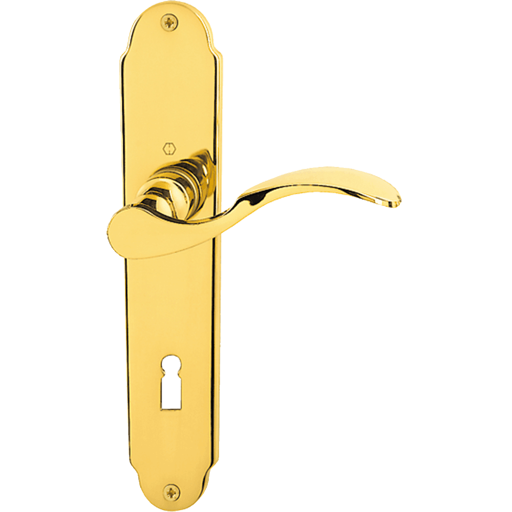 Door handle Hoppe Caracas