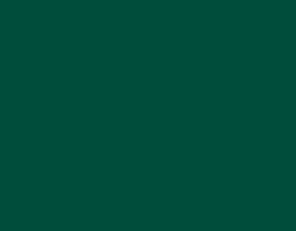 Alu RAL 6005
