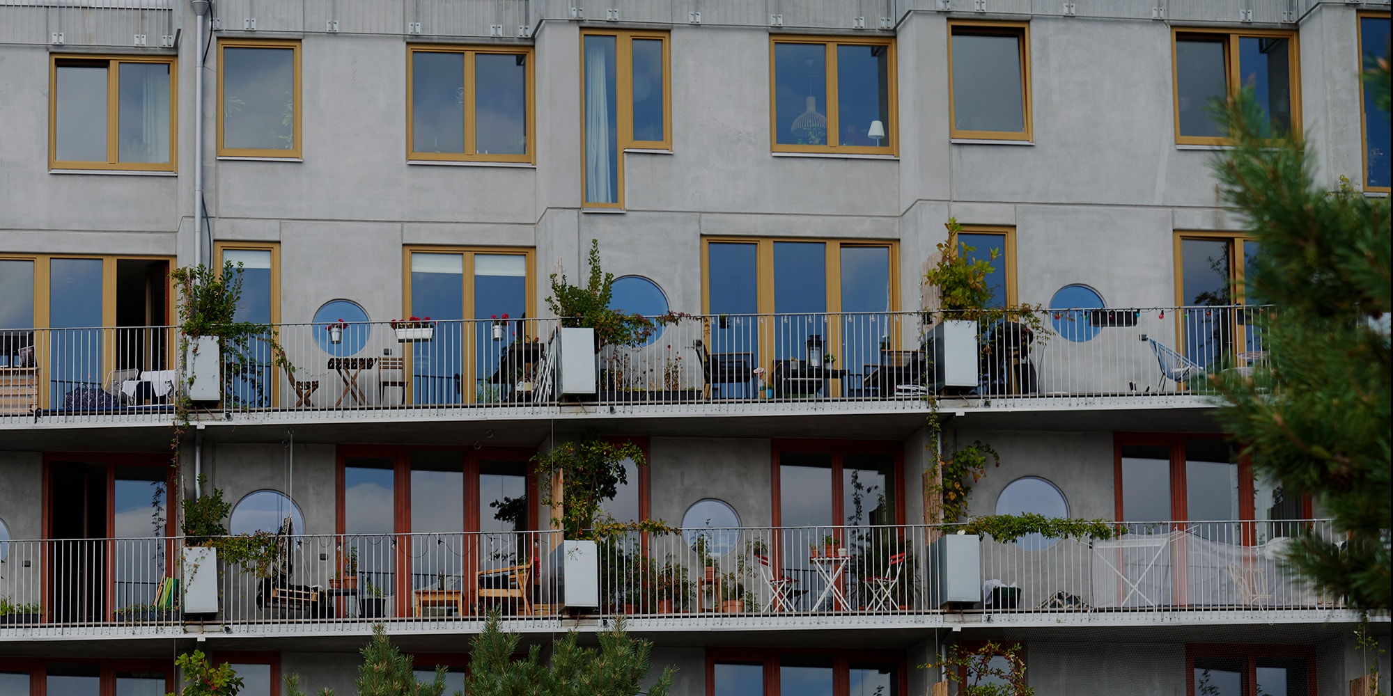 Fönster och fönsterdörrar i laserad ek på cykelhotell Ohboy