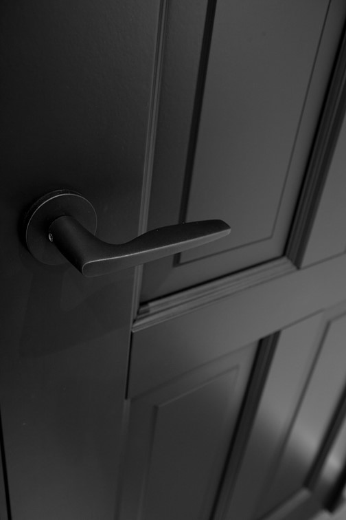 Detalj på innerdörr Exklusiv med handtag FSB 1058
